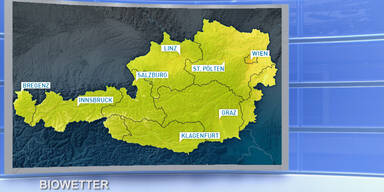 Wetter_TV_160712_biowetter0600h_Sendung.Standbild046.jpg