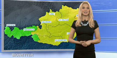 Das Biowetter
