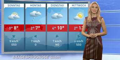 Die 4-Tagesprognose
