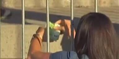 Diese Rekorde kann Verstappen in Monza knacken