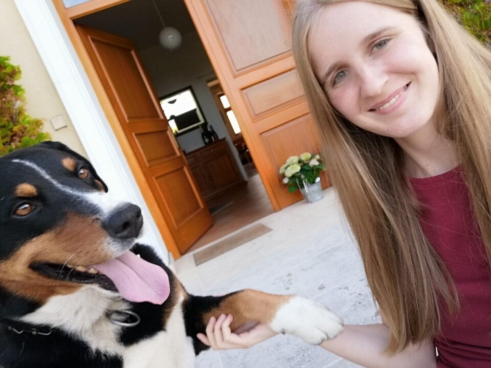 Winzer-Hund Falco abgeschossen