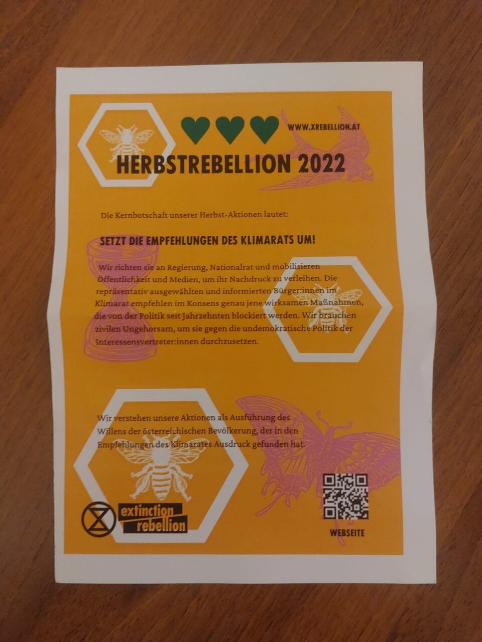 Klimaaktivisten unterbrechen Nationalratssitzung