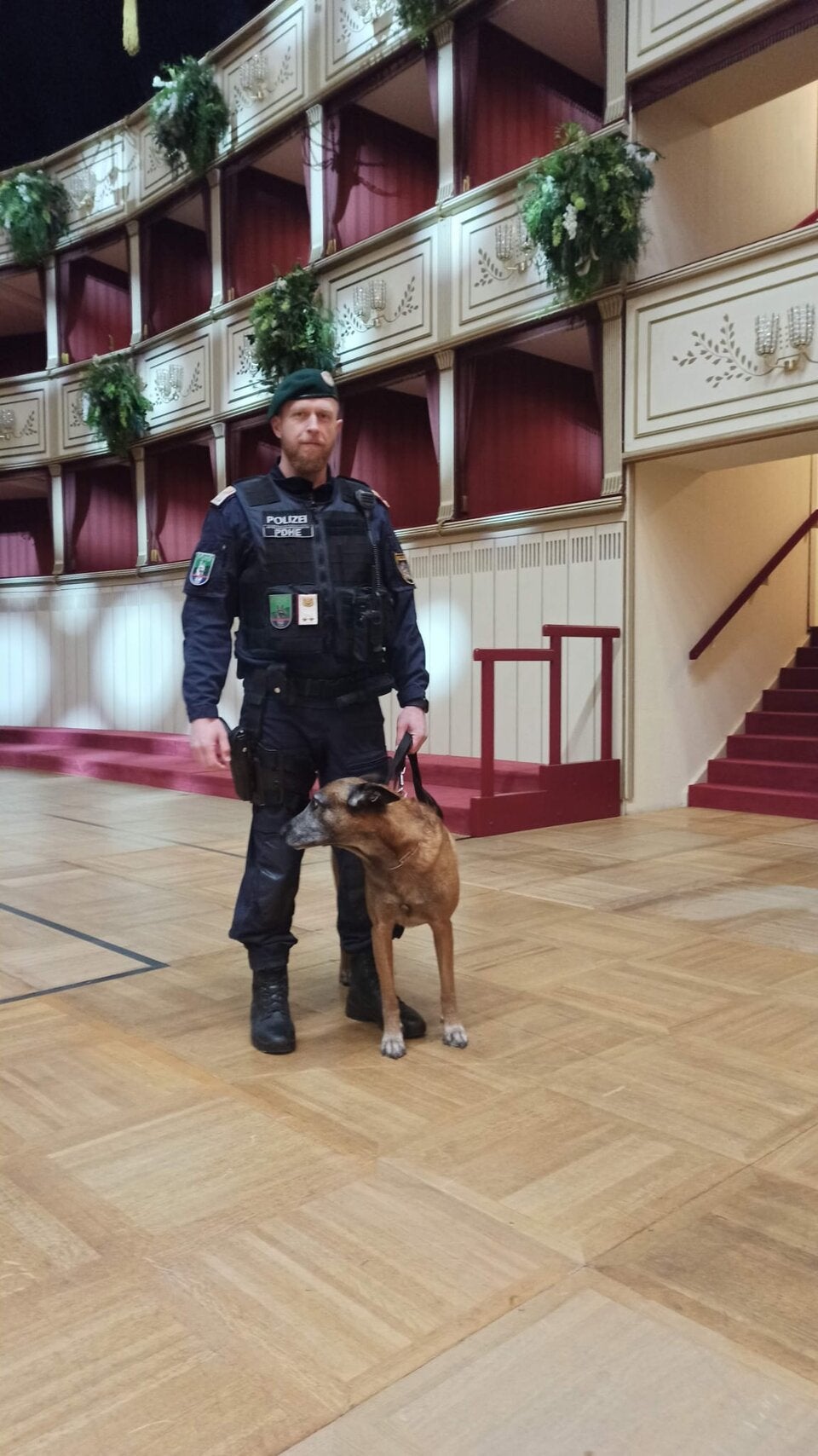 oe24 bei der Sprengstoff-Suche in der Staatsoper