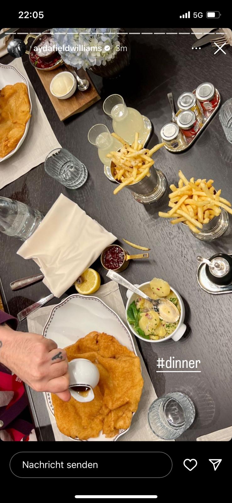 Robbies Wien-Tagebuch