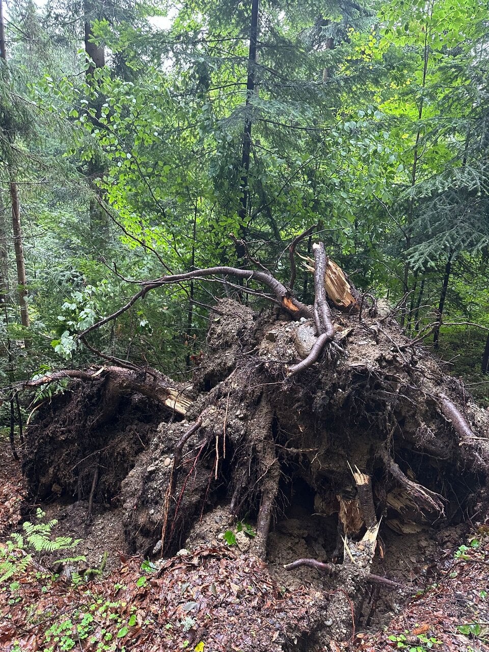 Verleger Mucha: ''So erlebte ich die Hagel-Hölle''