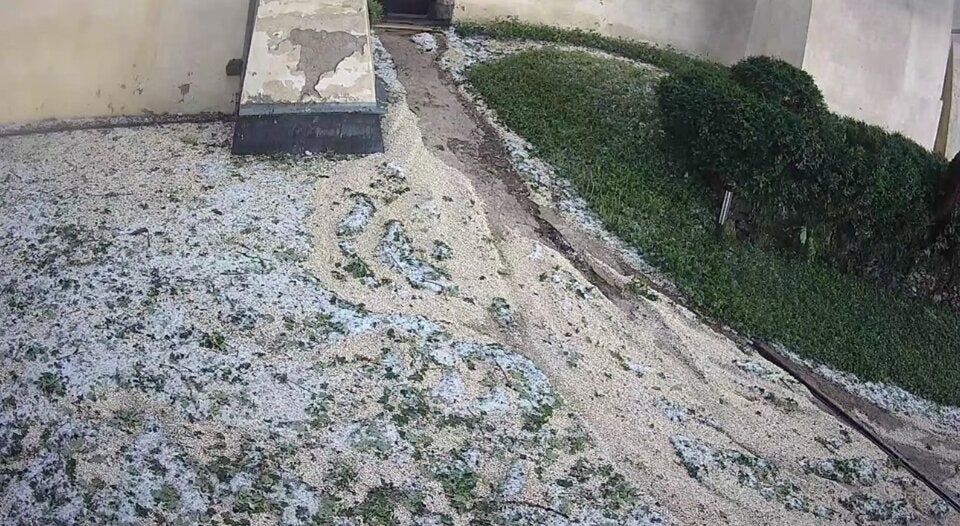 Verleger Mucha: ''So erlebte ich die Hagel-Hölle''