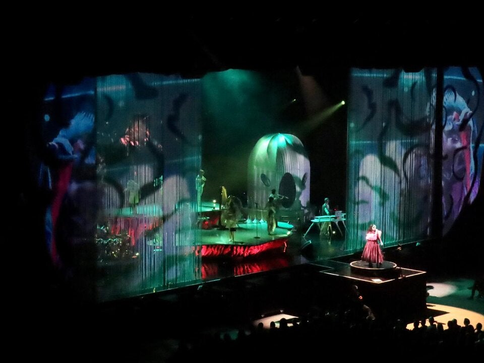 Björk-Konzert in Wien