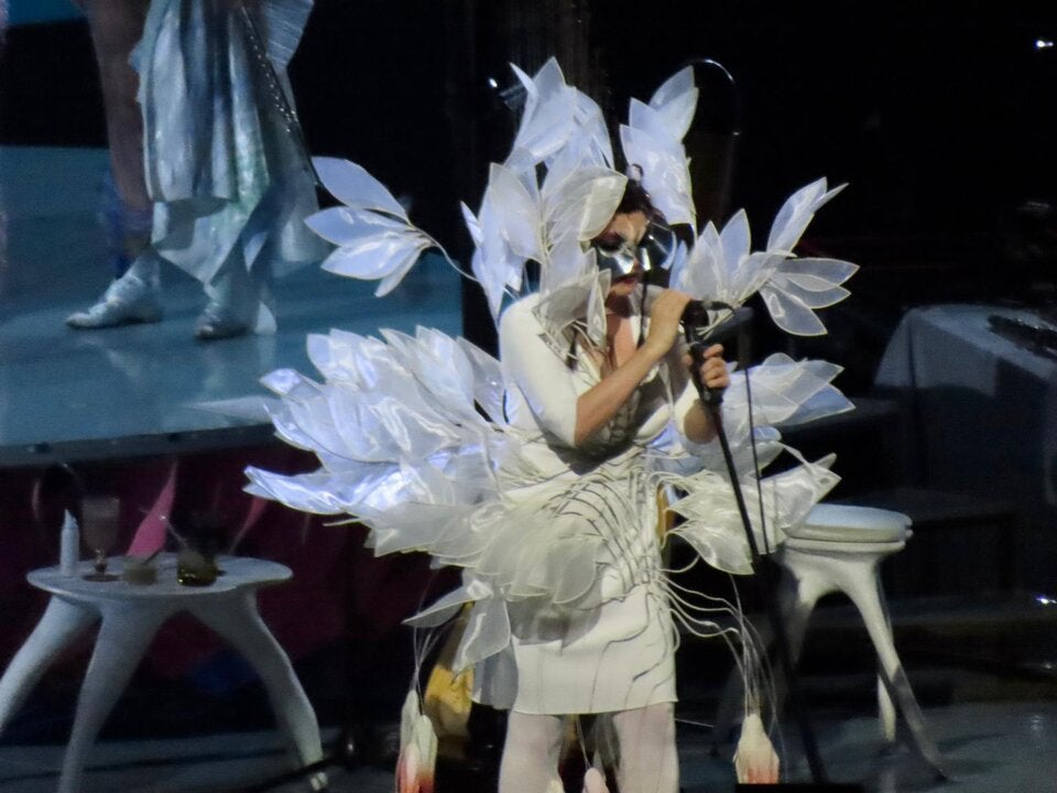 Björk-Konzert in Wien