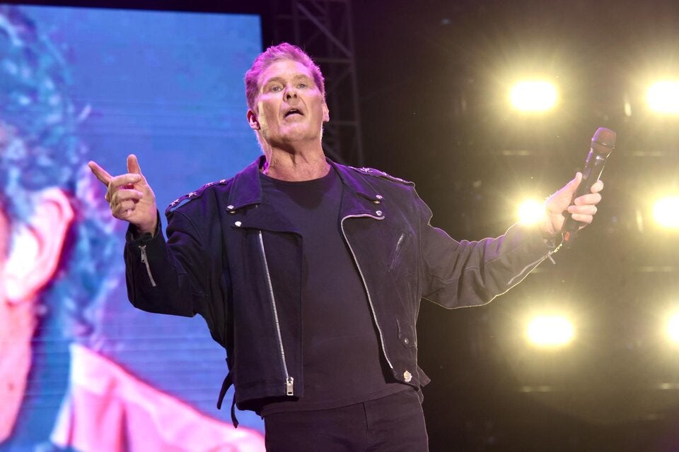 Hasselhoff-Konzert auf der Donauinsel