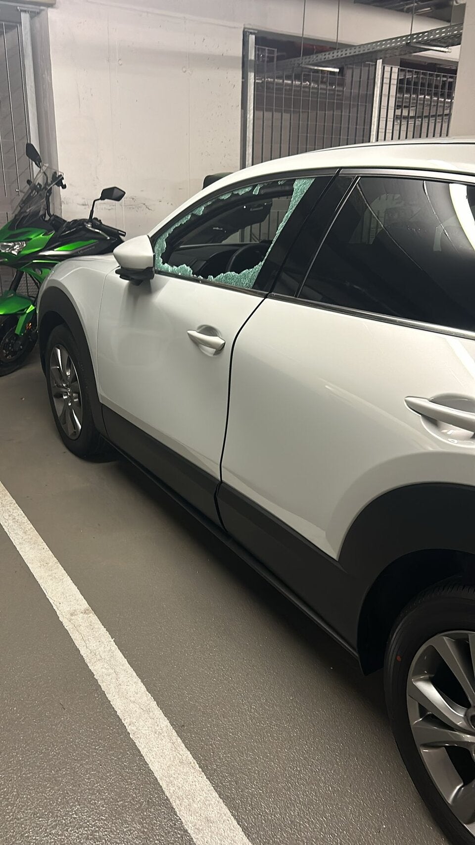 Autoscheiben Jugendbande Wien Liesing