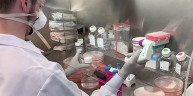 Wien coronamedikamenten.PNG