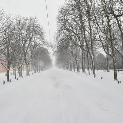 Schneeräumen ohne Ende – Hier Tulln  