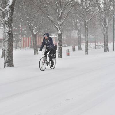 Schneeräumen ohne Ende – Hier Tulln  