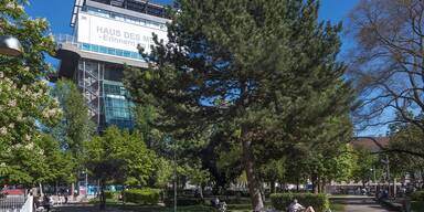 Esterh&aacute;zypark