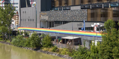 donaukanal forelle werk