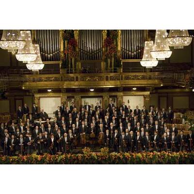 Sandra Cervik, Josefstadt-Schauspielerin