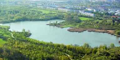 Wienerbergteich: Mann tot aus dem Wasser geborgen