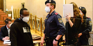 Wienerin dirigierte Dealer: 35-j&auml;hrige gebar in U-Haft Baby