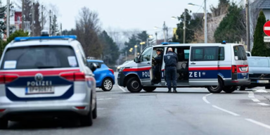 Wiens Polizei bew&auml;ltigt 2025 im Schnitt 1.300 Eins&auml;tze am Tag.png