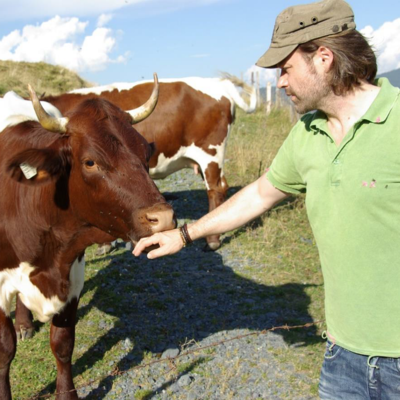 Wiesergut Tiererlebnisse