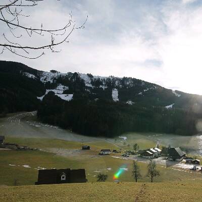 So grün ist derzeit Österreich