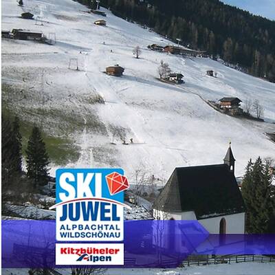 So grün ist derzeit Österreich