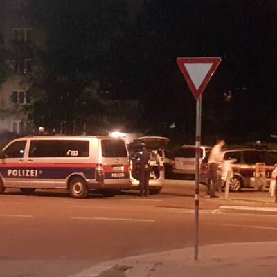 Wildschweinjagd in Wien