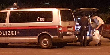 Wildschweinjagd in Wien