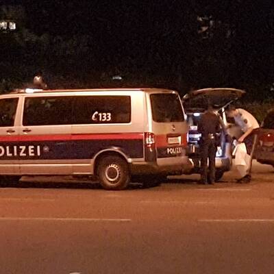 Wildschweinjagd in Wien