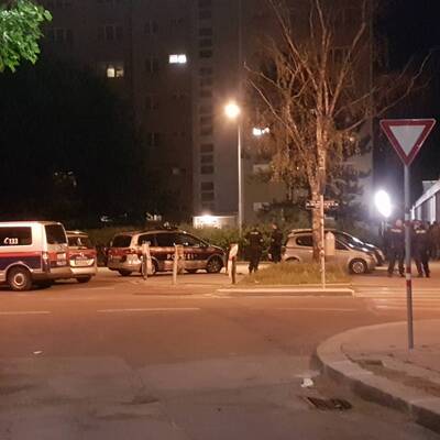 Wildschweinjagd in Wien