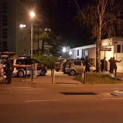 Wildschweinjagd in Wien