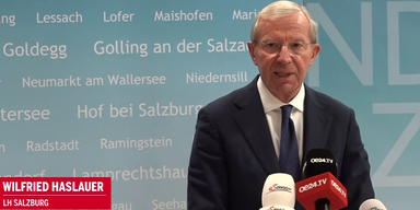 Wilfried Haslauer.png