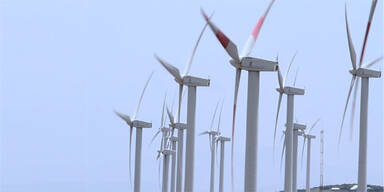 Windrad-Krieg in Traismauer: B&uuml;rger k&auml;mpfen gegen 260-Meter-Riesen im Wald