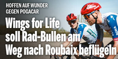 Red Bull Meeus Vermeersch Wings for Life