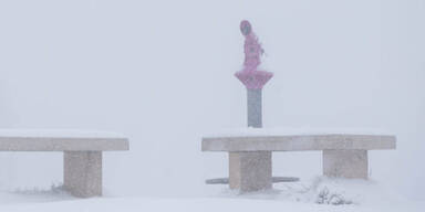Schneechaos bremst den Verkehr aus