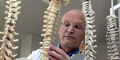 Wirbels&auml;ule ist enormen Belastungen ausgesetzt