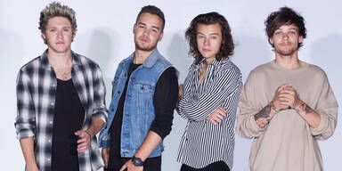 So hei&szlig; wir das 1D- Konzert in Wien!