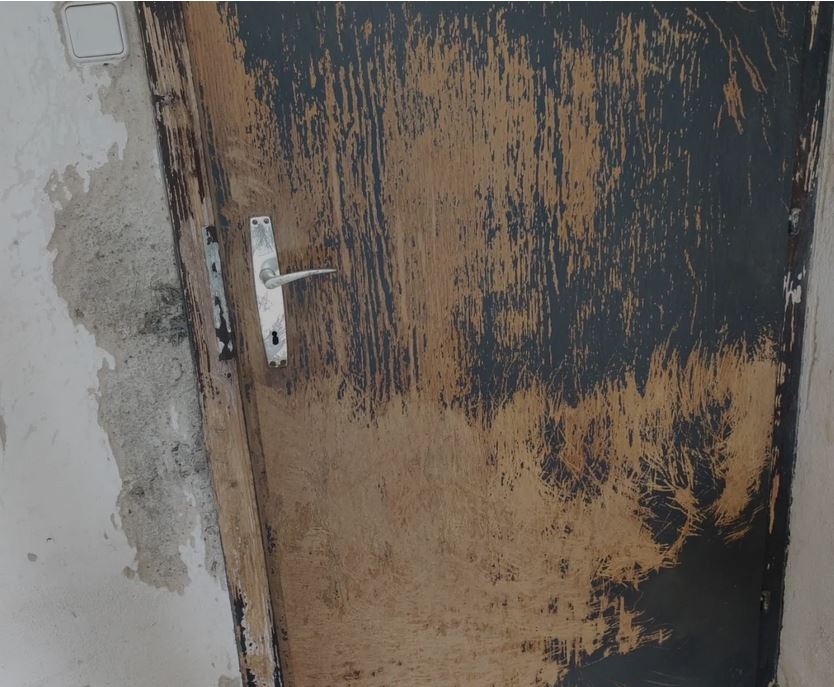 Hunde Tierheim Urlauberin