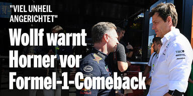 Toto Wolff Christian Horner