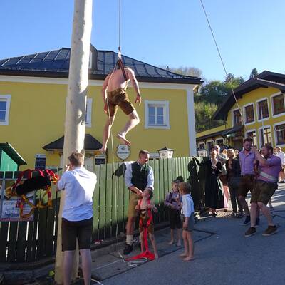 Maibaum in Auggenthal