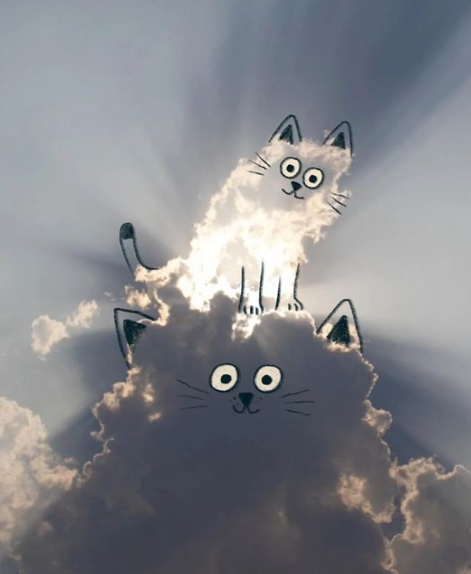 adailycloud/Instagram