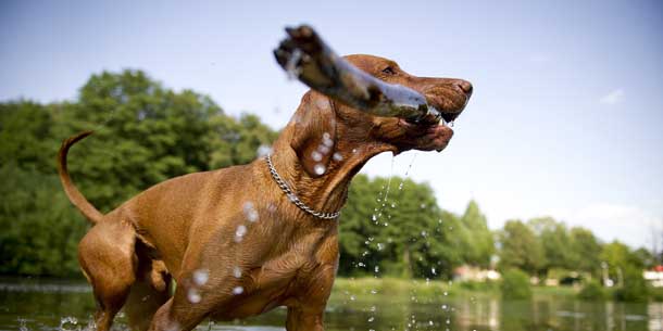 Auf Gluthitze folgt Donnerwetter