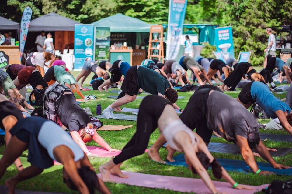 Yoga Junkies Festival