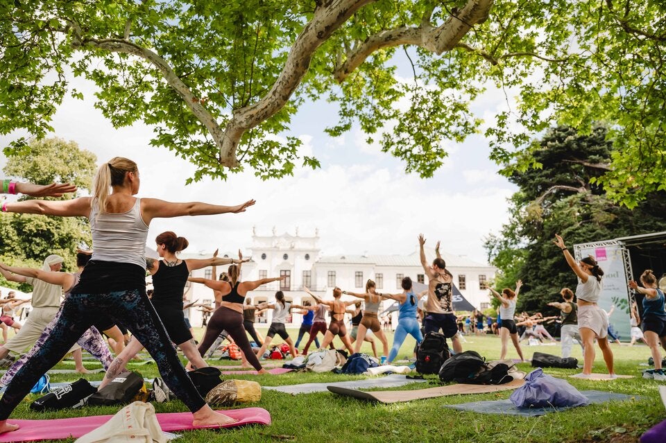 Yoga Junkies Festival