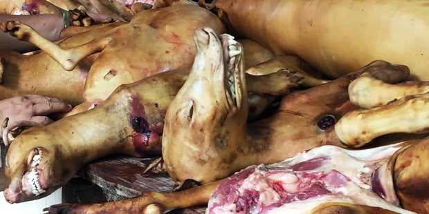 Yulin Hundefleischfestival