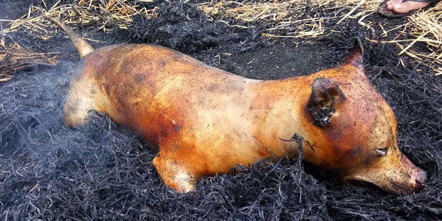 Yulin Hundefleischfestival