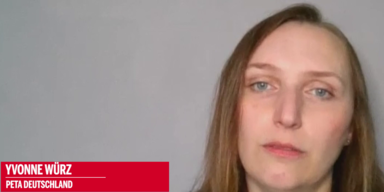 Yvonne Würz.png