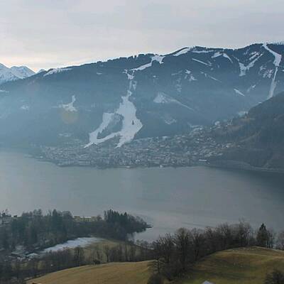 So grün ist derzeit Österreich