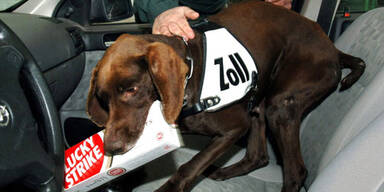 Zigarettenschmuggel im Reisebus