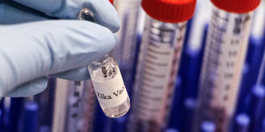 Zika: So gef&auml;hrlich ist Virus in &Ouml;sterreich